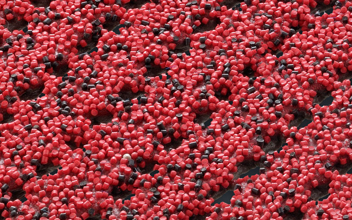 Наружный грязезащитный коврик AKO Safety Mat красного цвета.