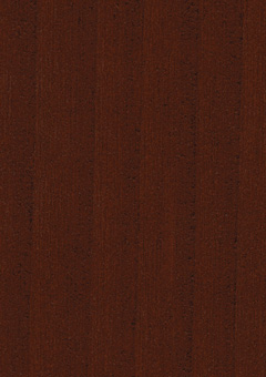 redwood-653